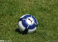 林书豪追加,百万捐款助,力抗疫,pg286娱乐厅下载,pg286娱乐厅电子,pg286娱乐厅官网,pg286娱乐厅a超凡国际