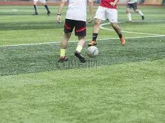 费德勒,岁风采鼓舞,德约,pg286娱乐厅下载,pg286娱乐厅电子,pg286娱乐厅官网,pg286娱乐厅a超凡国际